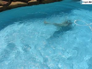 Patricia. Part 5. Thumb 31