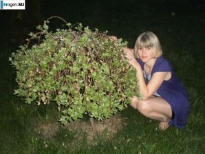 Solyanka. Part 29. Thumb 31