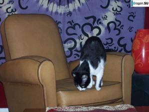 Amanda. Part 8. Thumb 27