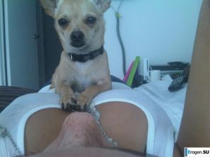 Mina Stefan. Часть 8. Эскиз 53