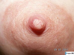 Баба ягодка опять. Часть 8. Эскиз 23