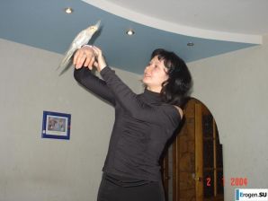 Home archive of a flexible Russian girl. Part 2. Thumb 7