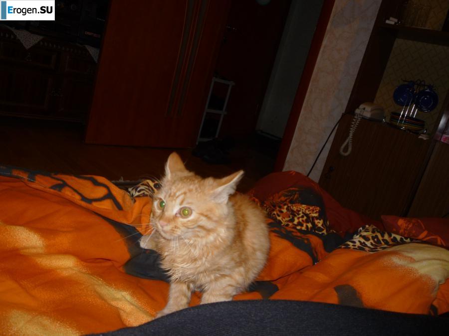 Girls from Belgorod. Part 4. Photo 35