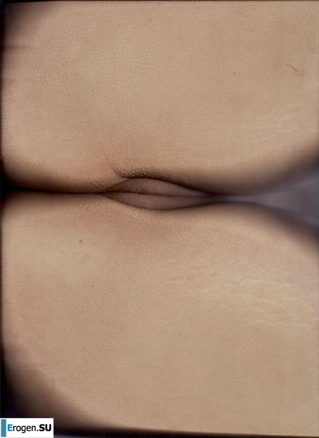 nitsche so. Photo 29