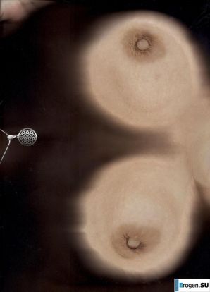 nitsche so. Thumb 31