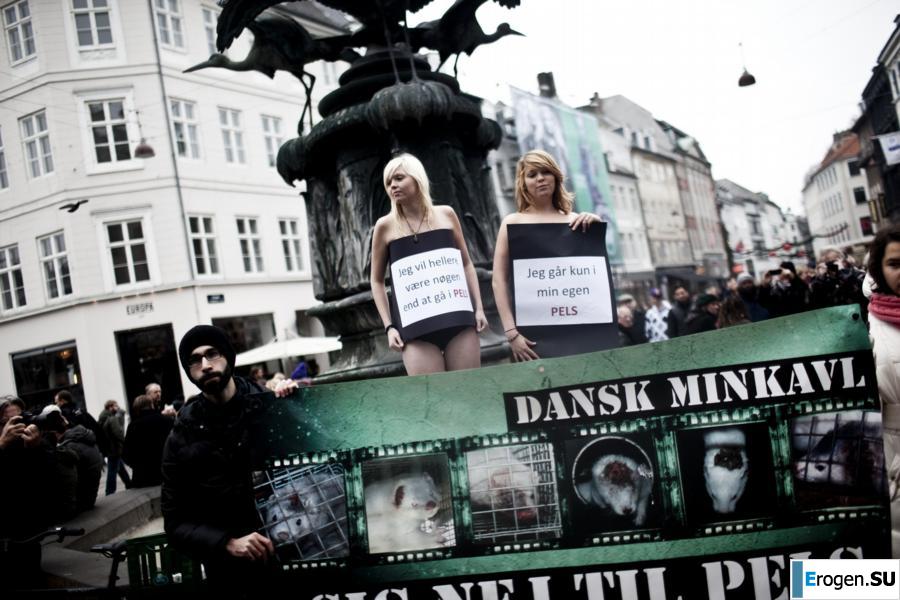 Outcrops of Protest. Part 6. Photo 40