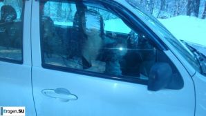 простая но сексуальная пара. Часть 4. Эскиз 32