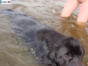 Ginger from Yekaterinburg on vacation and at home. Part 3. Thumb 14