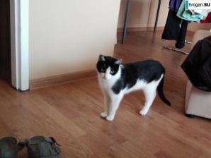 Просто красивая девушка. Часть 5. Эскиз 54