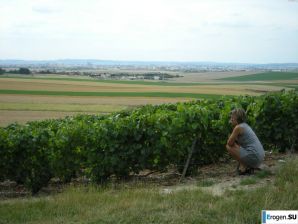 Прекрасная Виктория. Часть 8. Эскиз 29