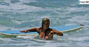 A selection of UPS. Part 6. Thumb 9