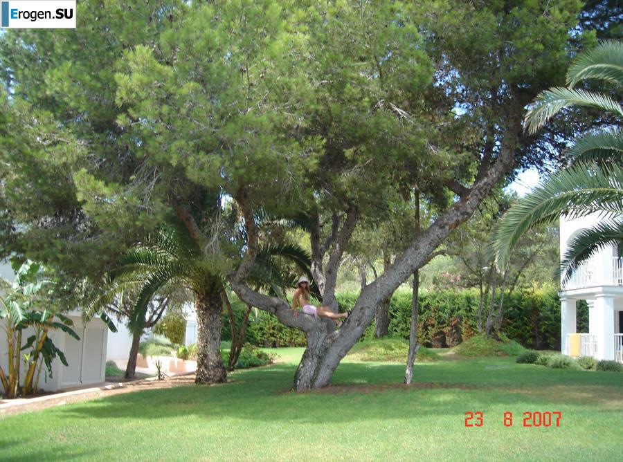 Rest in Ibiza. Part 3. Photo 8