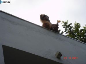 Rest in Ibiza. Part 3. Thumb 15