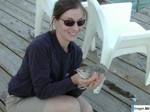 Charismatic European without sex. Thumb 16