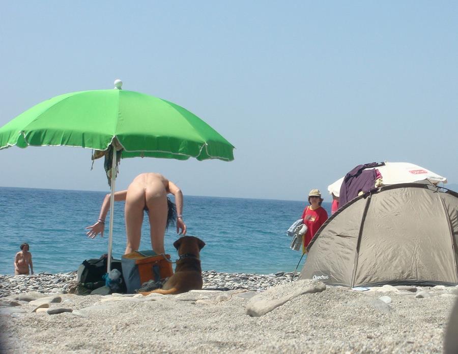 Подборка На пляже раком. Фото 28