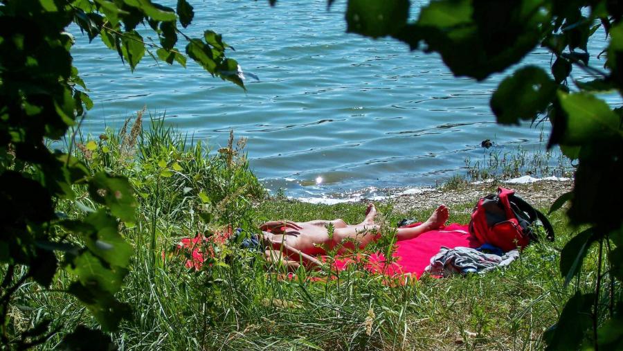 The little fluffy is sunbathing. Part 2. Photo 16