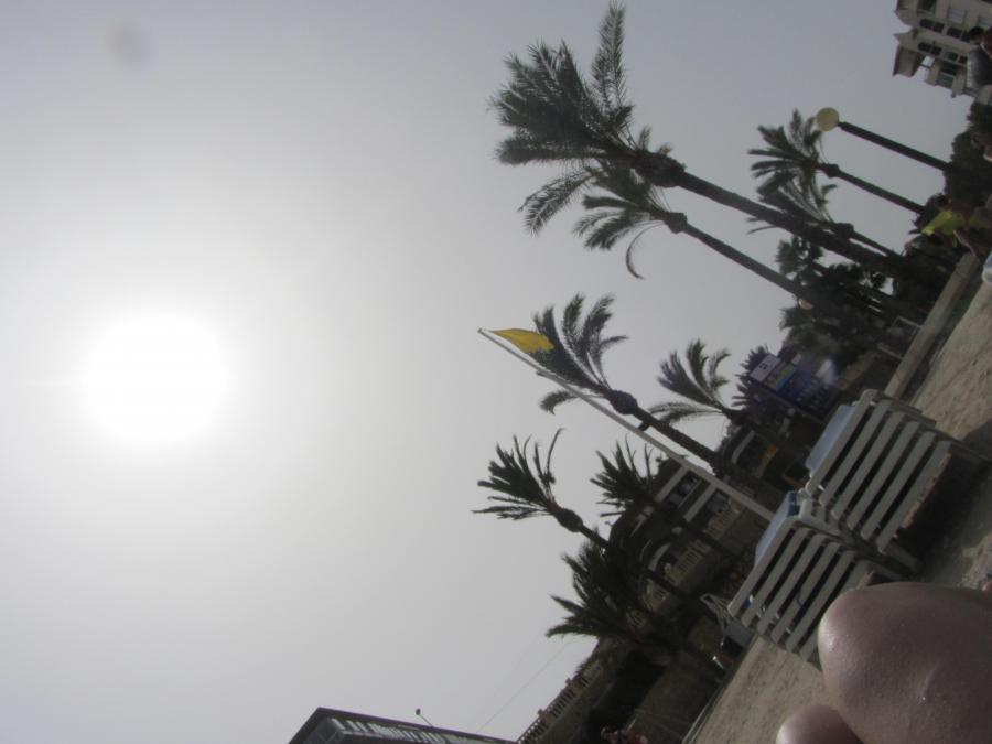 Swedish Album. Photo 20