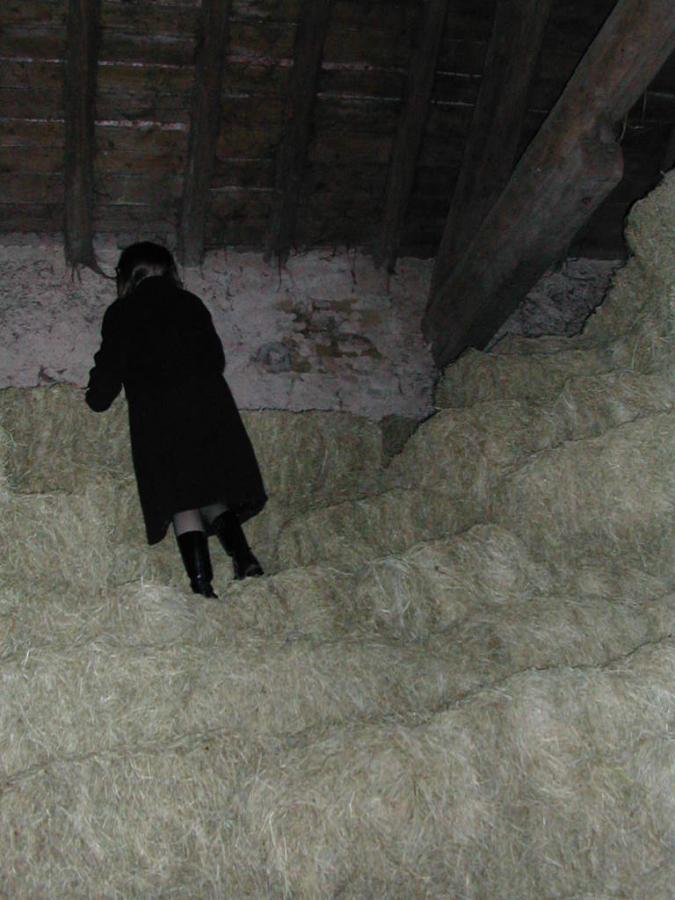 The Great French Archive. Part 3. Photo 35