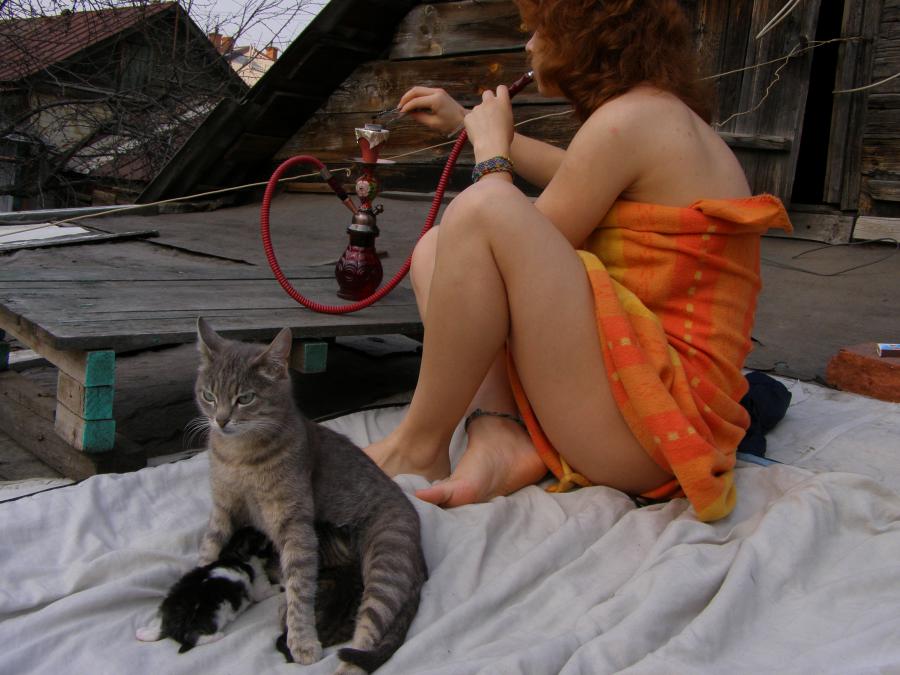 hookah. Photo 7
