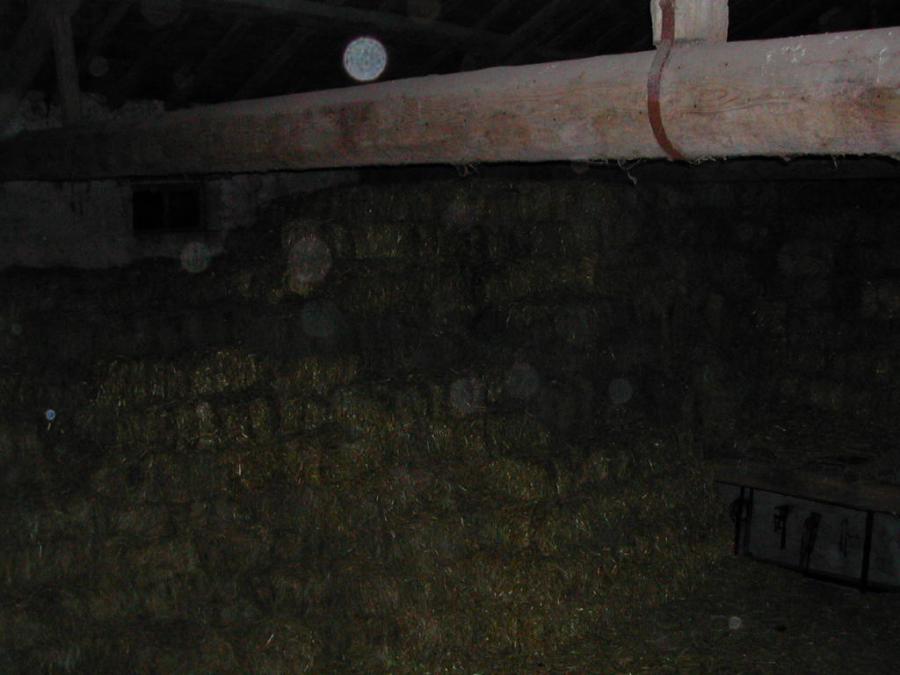 The Great French Archive. Part 4. Photo 39