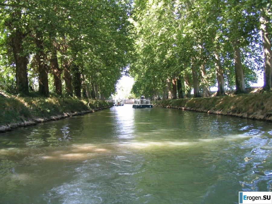 An elderly couple on vacation. Photo 4