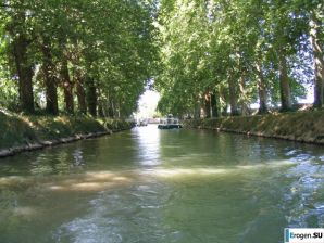 An elderly couple on vacation. Thumb 4