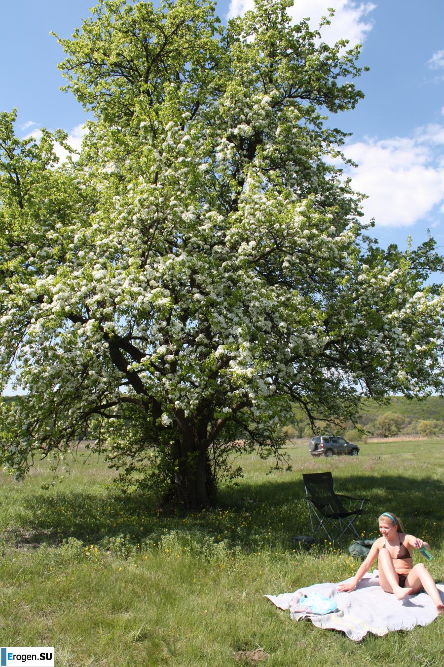 Everything for a picnic. Photo 7