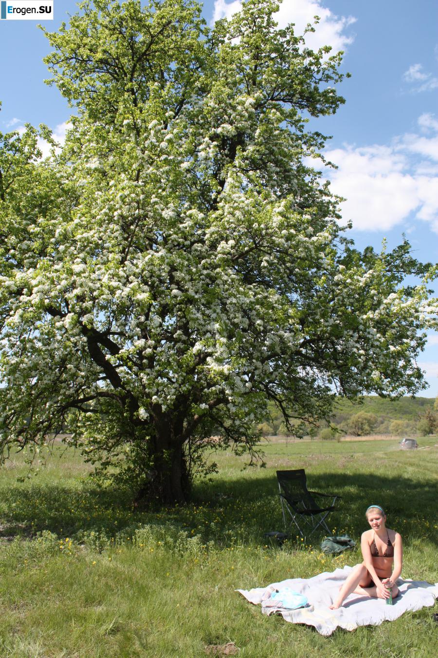 Everything for a picnic. Photo 8