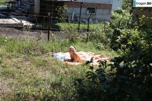 Все на пикник. Эскиз 32