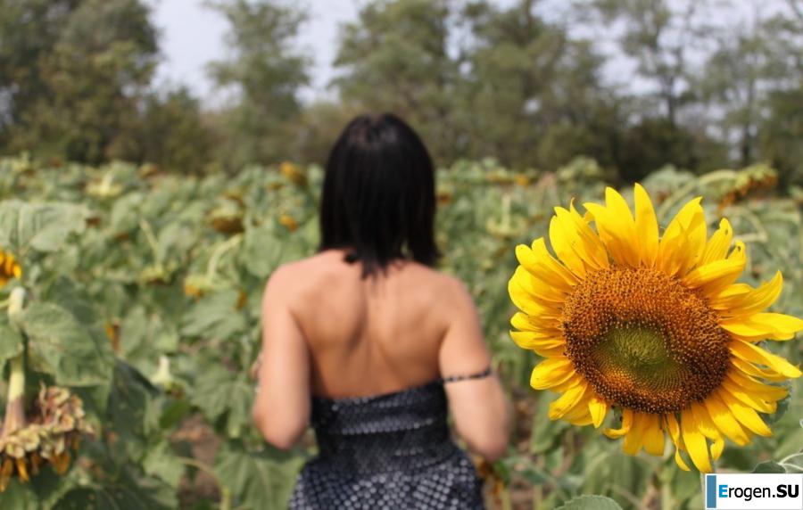 ПОДСОЛНУХИ. Фото 7