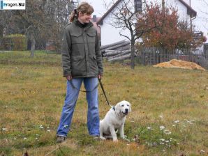 Ellavindochka. Thumb 17