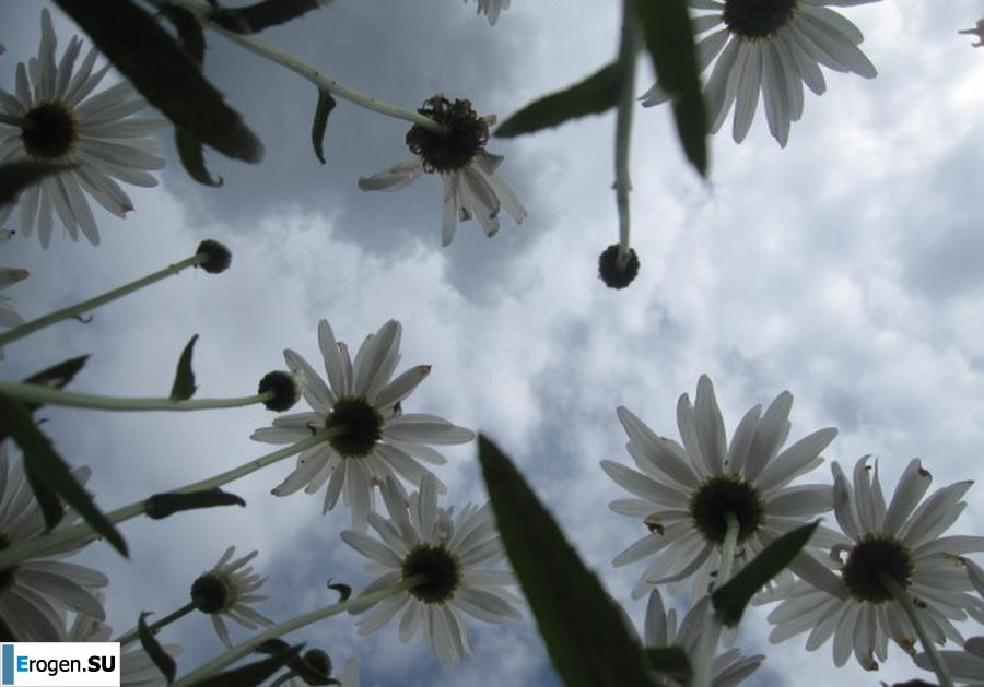 Night games with wax. Photo 9