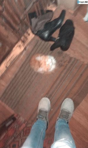 Илона. Украина. Эскиз 7