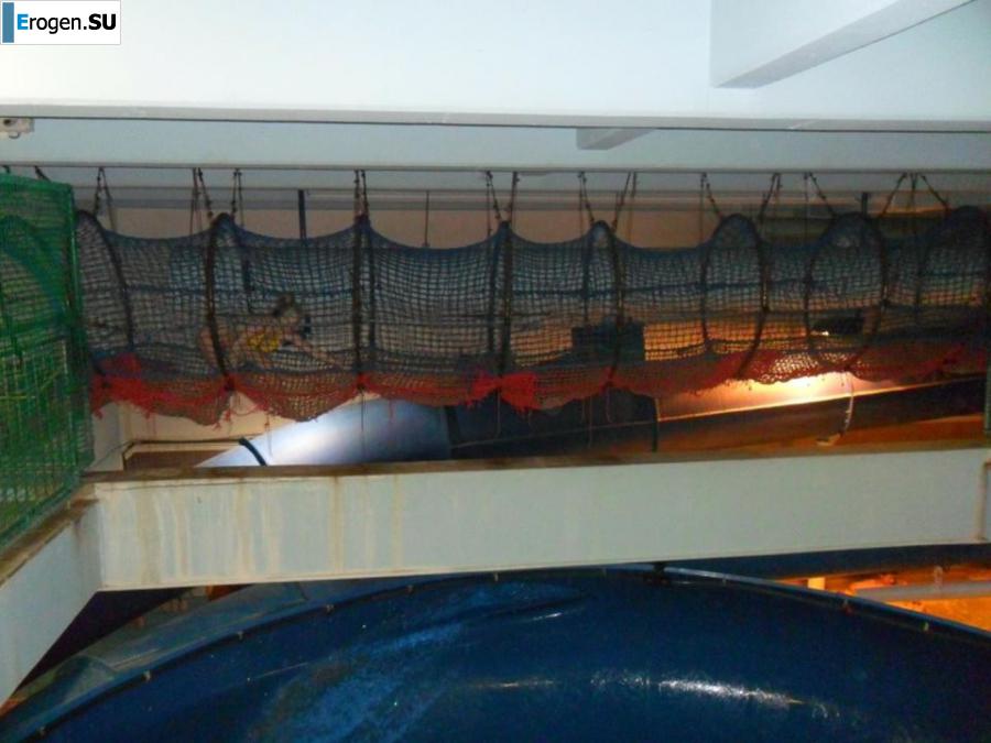 Отдыхаем красиво. Фото 4