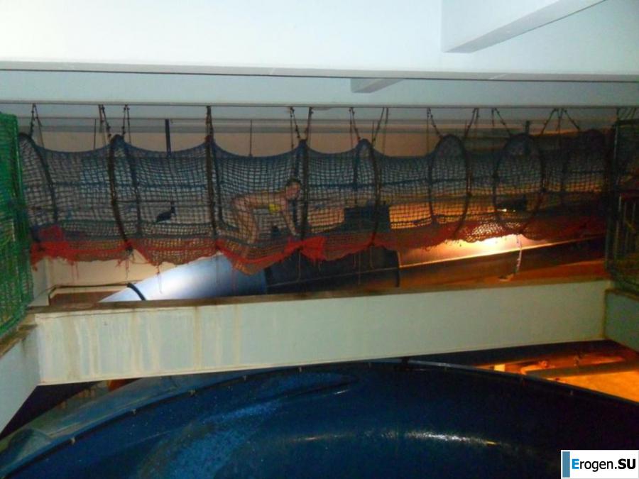 Отдыхаем красиво. Фото 5