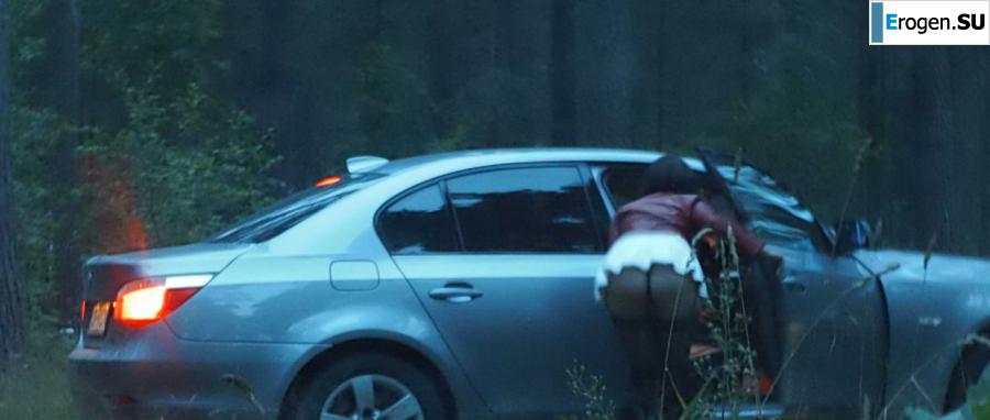 Roadside Butterfly. Photo 32