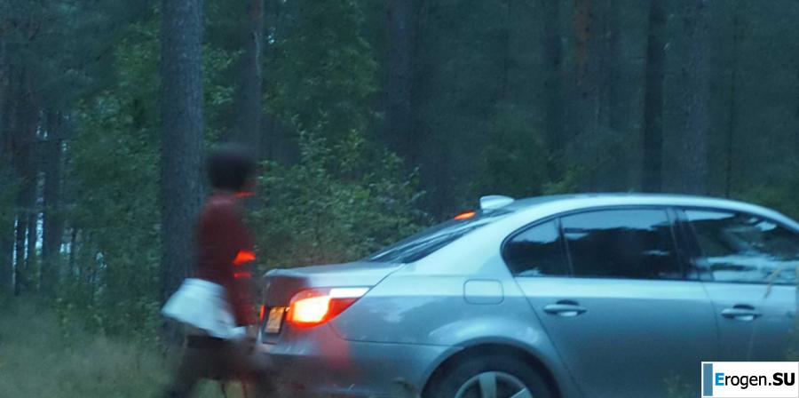 Roadside Butterfly. Photo 34