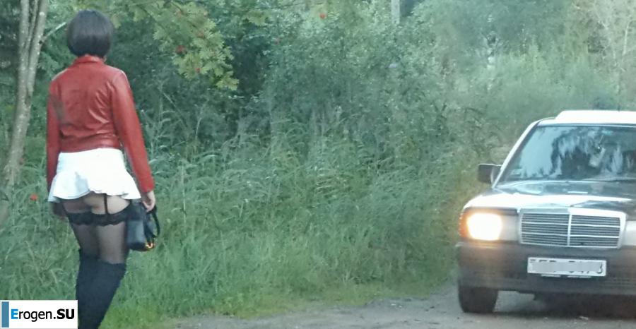 Roadside Butterfly. Photo 5