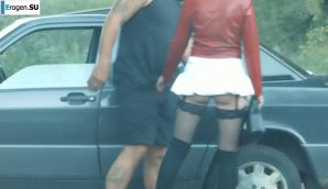 Roadside Butterfly. Thumb 11