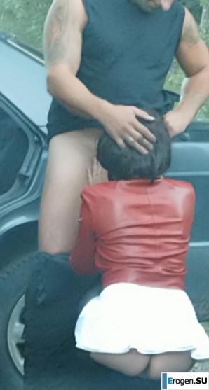 Roadside Butterfly. Thumb 15