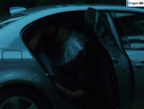 Roadside Butterfly. Thumb 30