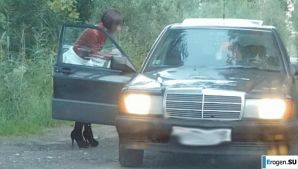 Roadside Butterfly. Thumb 7