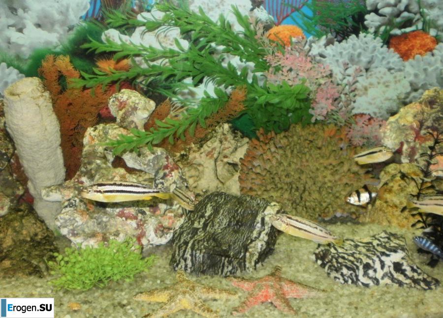 Moscow wife. Photo 15