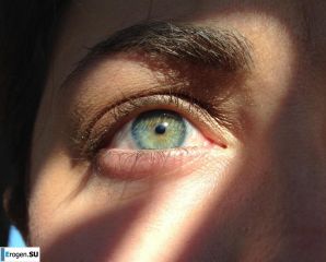 Addition XXX. Thumb 16