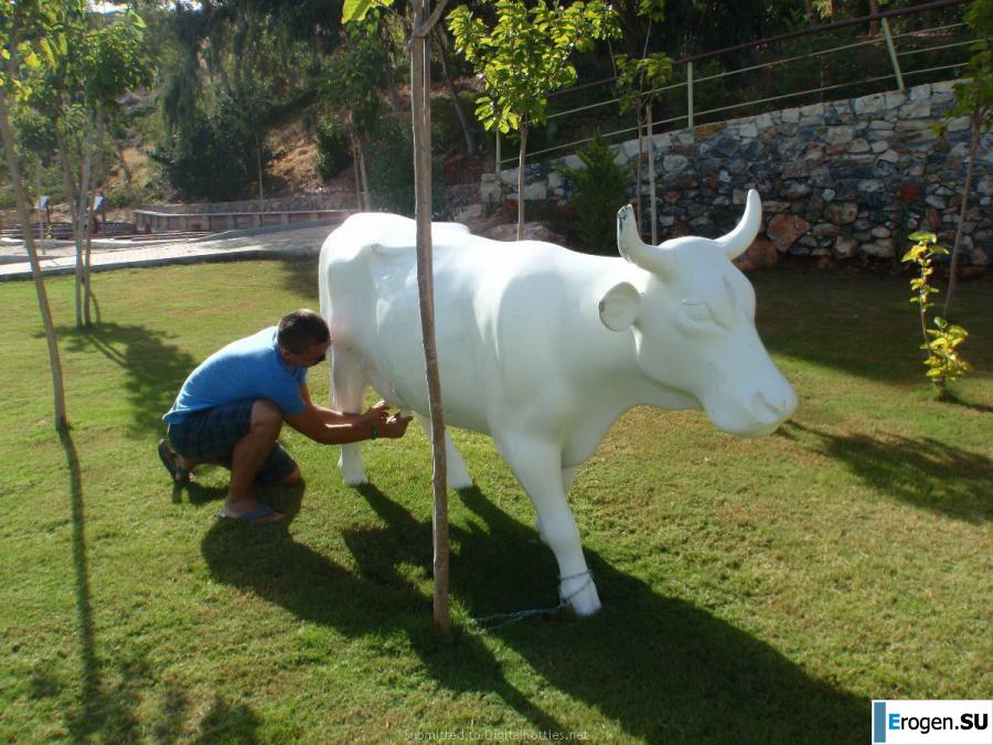 sex couple resting. Photo 27