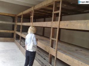 emphasis on tits. Thumb 21