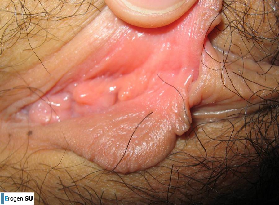 juicy Asian. Photo 15