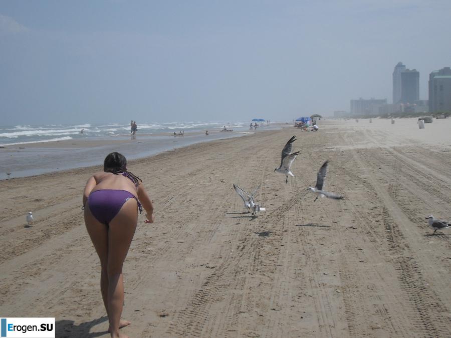 club and beach strip vacation. Photo 27