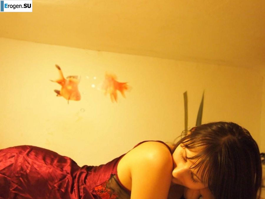 Sly fox with a playful look. Photo 36