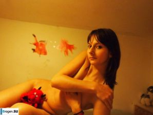 Sly fox with a playful look. Thumb 22